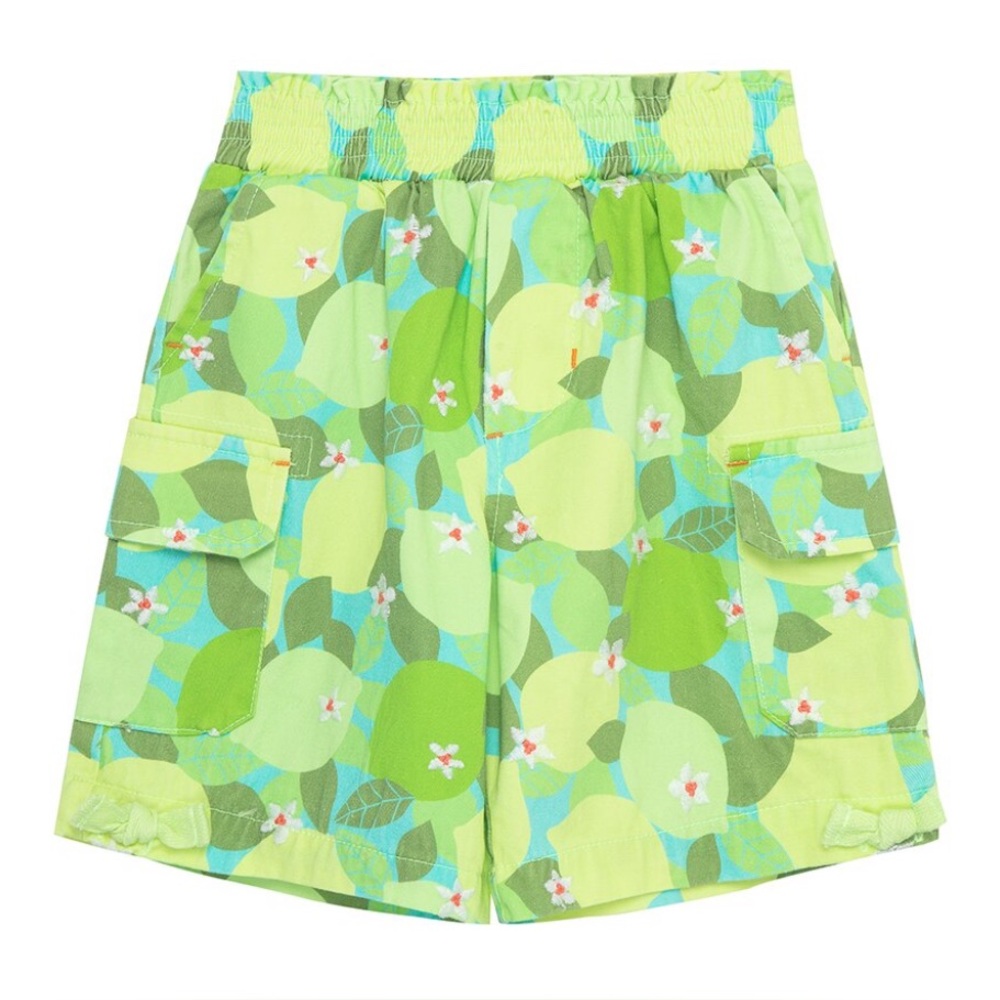 NWT- Peek Lime Sky Printed Shorts, size 6/7